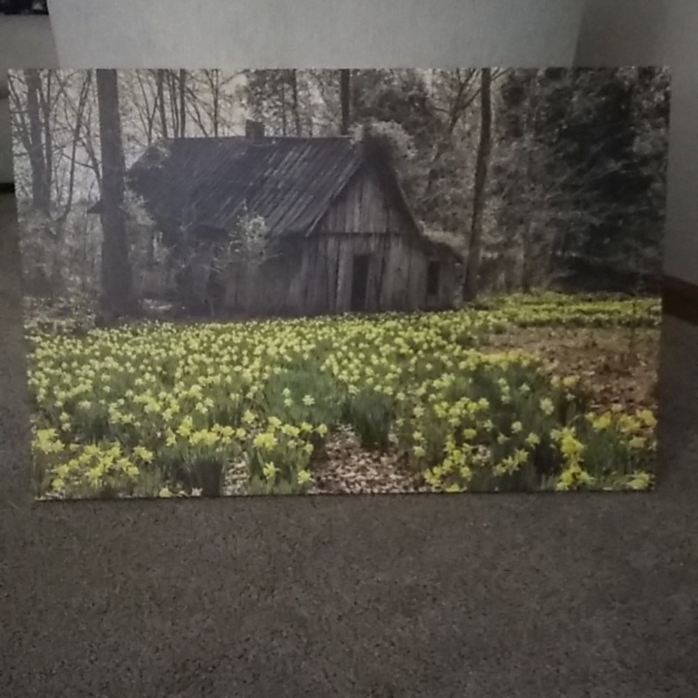 🆕wall art daffodils